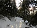 Planina Zajavornik - Vrh Razora
